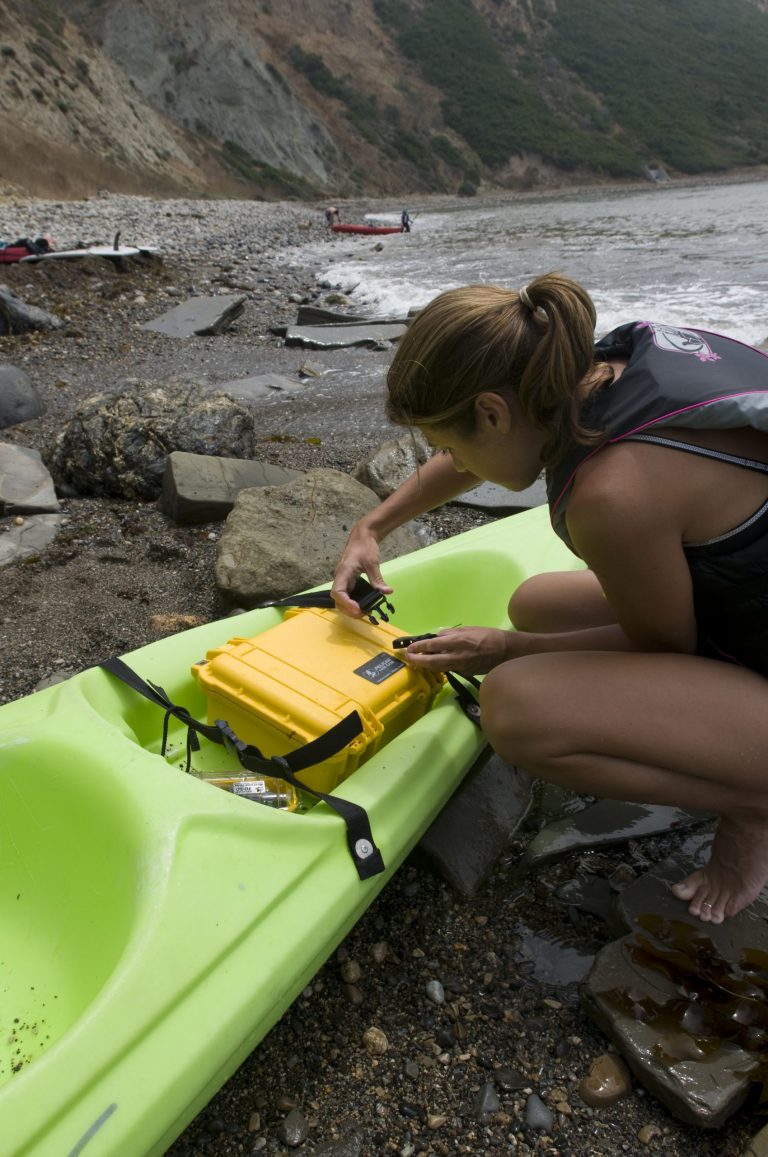 pelican-application-image-protector-36[1]