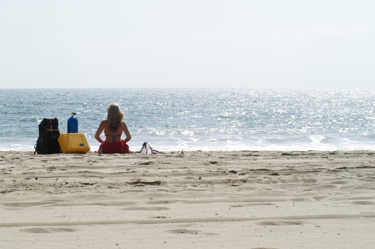 pelican-application-image-protector-37[1]