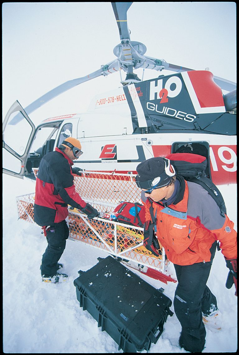 pelican-application-image-protector-39[1]