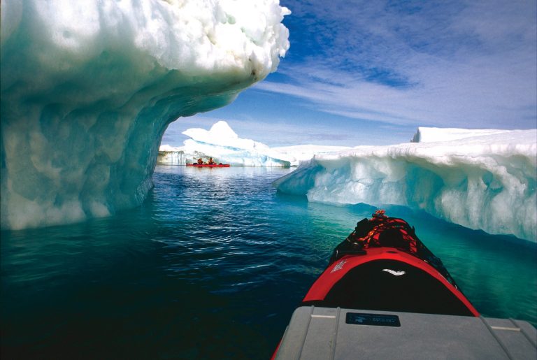 pelican-application-image-protector-44[1]