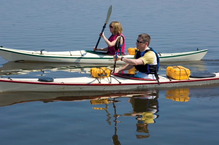 pelican-application-image-storm-12[1]