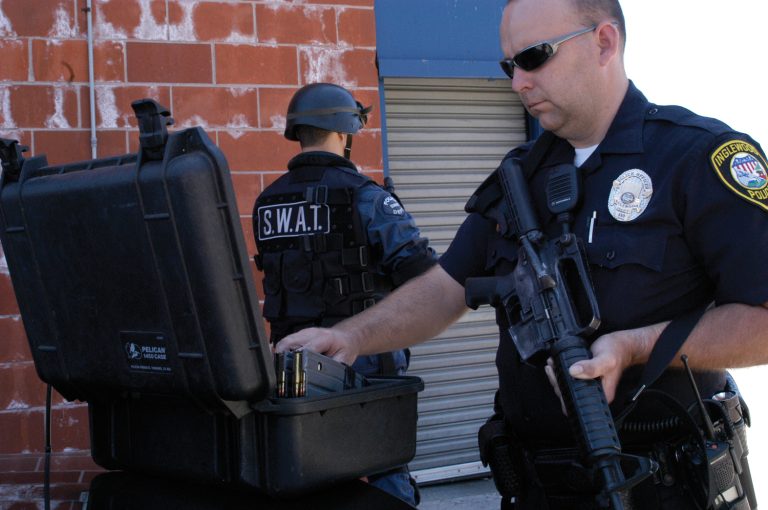 pelican-police-image-1450-01[1]