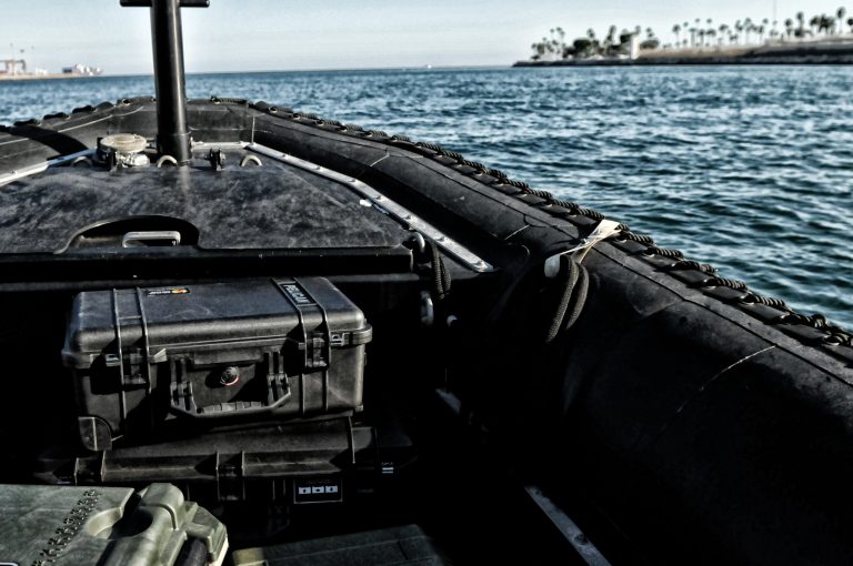 pelican-police-image-1510-case-01[1]