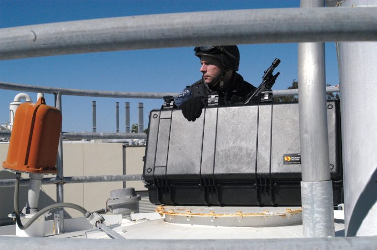 pelican-police-image-1700-01[1]