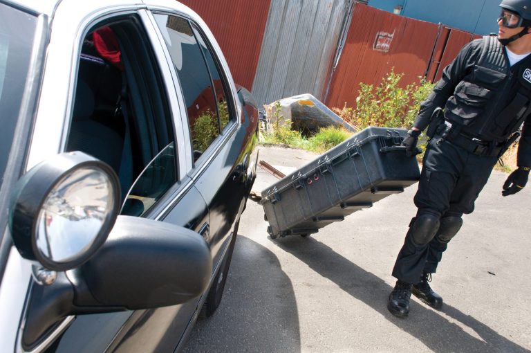 pelican-police-image-1740-04[1]