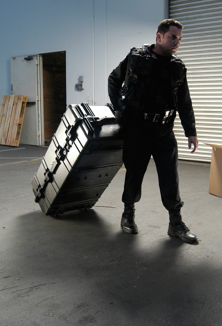 pelican-police-image-1780-01[1]