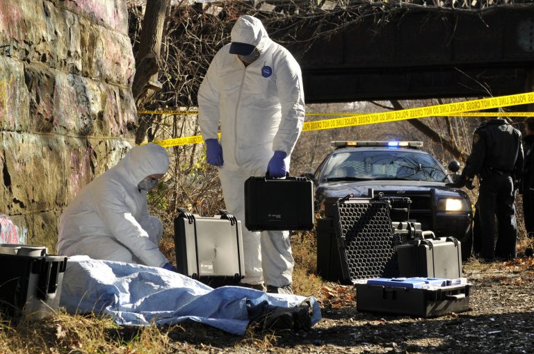 pelican-police-image-im2200-im2400-01[1]