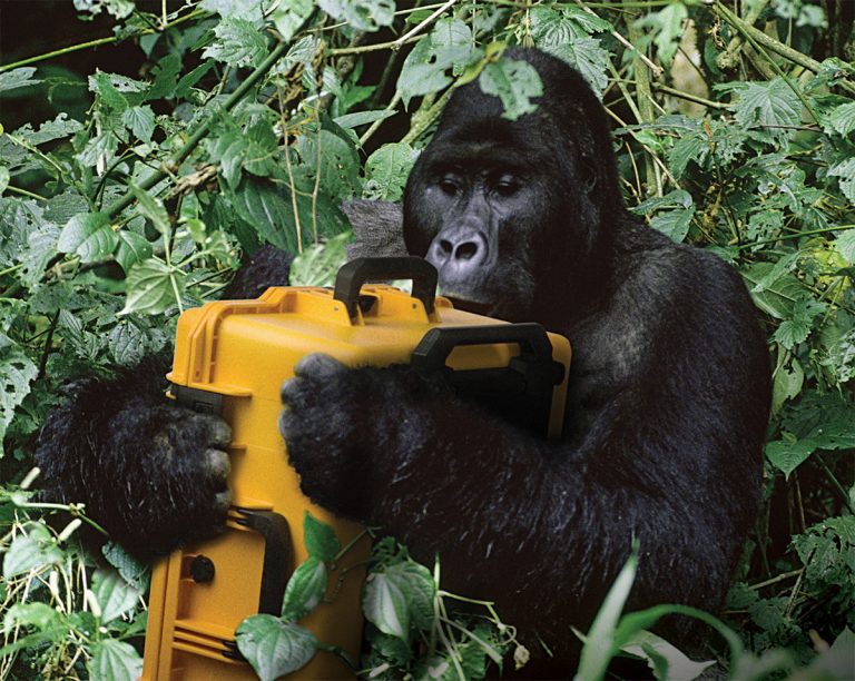 pelican-toughest-strong-hard-equipment-case[1]