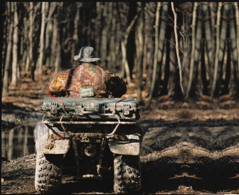 pelican-application-image-storm-05[1]