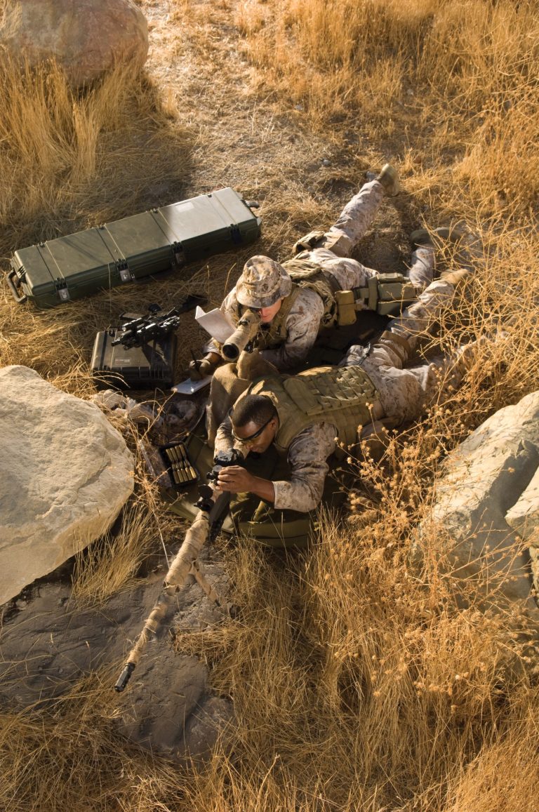 pelican-application-image-military-116[1]