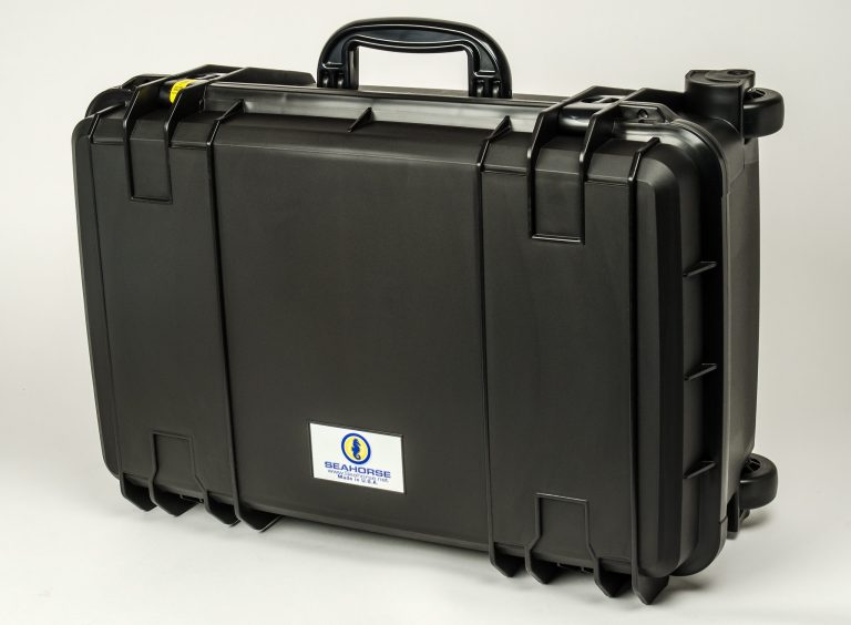 seahorse_920_big8[1]