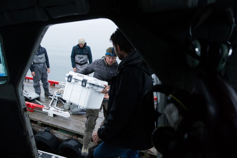 pelican-products-30qt-cooler-08[1]