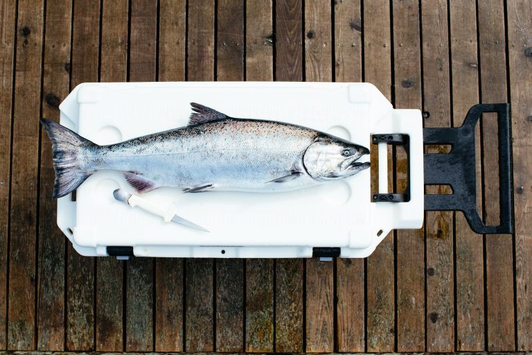 pelican-products-80qt-cooler-01[1]