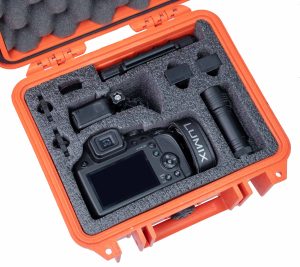 Lumix FZ80 and GoPro Case - Foam Example