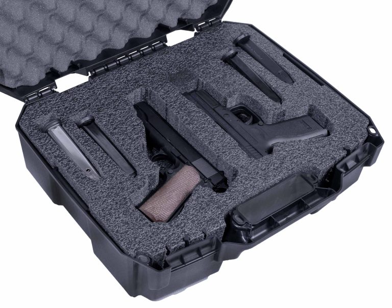 2 Pistol Carry Case