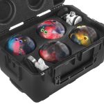 x4 Bowling Ball Case