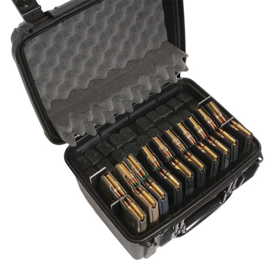 x100 Round 5.56/.223 Ammo Long Term Storage Case Case Club
