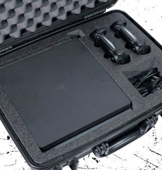 PlayStation 4 Cases